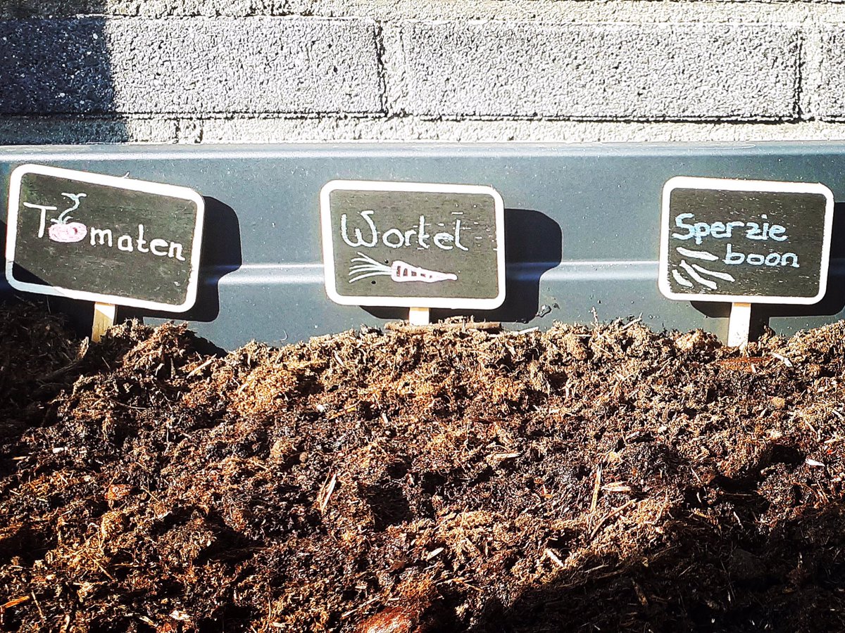 zaansleven's tweet image. Lente! Vandaag meteen diverse groentes gezaaid in de kweektafel van Action. #kweektafel #moestuin #actionnederland #tomaatjes #zaaien #lente
