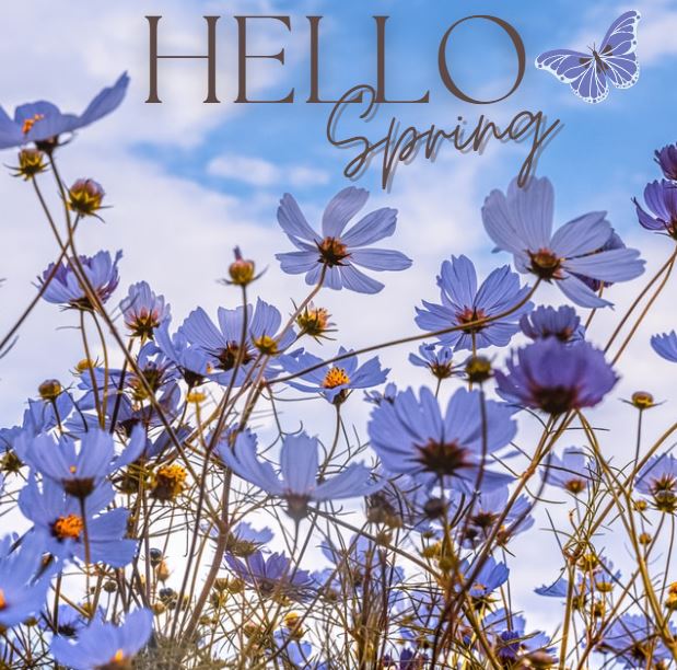 GSMsince1927's tweet photo. We are officially in the Spring season! 🌷🌼

#spring #newseason #hvac #heatingandcooling #welcomespring #monday #flowers #gsmservices https://t.co/AMLYellqEa