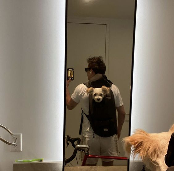 MaxTheWolfee's tweet photo. Levando meu filho para passear. https://t.co/VFrtSXDTcT