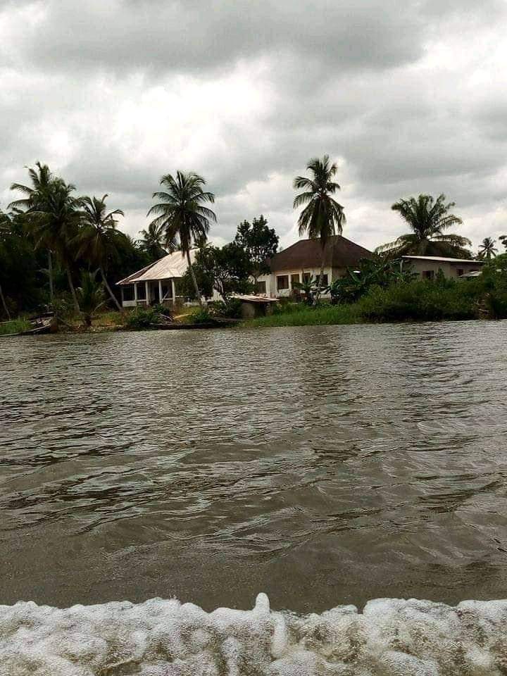 PatrickOvono's tweet photo. Le savais tus?
L’île de Djebale, Douala Cameroun 🇨🇲
Situé au cœur du fleuve Wouri, à Dla, l'ile richesse touristique naturelle,  elle a une école, un centre de santé, des résidences privées, et une population de près de 500 habitants. 
Source: @LeCamerounaTraversNosYeux https://t.co/EU6zMu0AVB