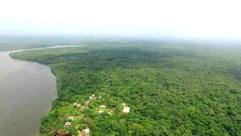PatrickOvono's tweet photo. Le savais tus?
L’île de Djebale, Douala Cameroun 🇨🇲
Situé au cœur du fleuve Wouri, à Dla, l'ile richesse touristique naturelle,  elle a une école, un centre de santé, des résidences privées, et une population de près de 500 habitants. 
Source: @LeCamerounaTraversNosYeux https://t.co/EU6zMu0AVB
