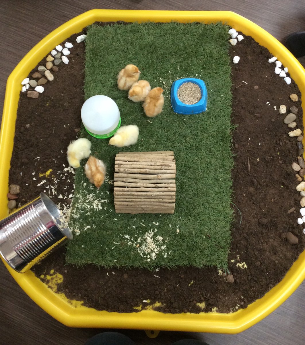 Mrs Karkoszka tweet media