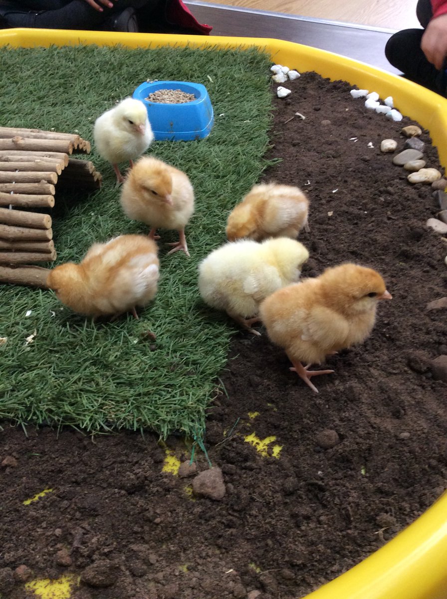 Mrs Karkoszka tweet media