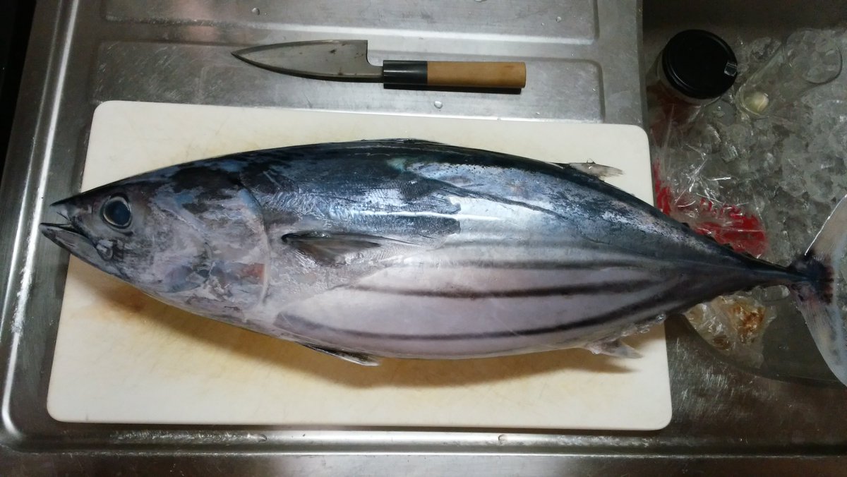 実は かつお節 は製法の関係で昔とは全くの別物になってしまっているらしい 何が 本物 で何が 偽物 なのか 美味しければ何でも良い Togetter