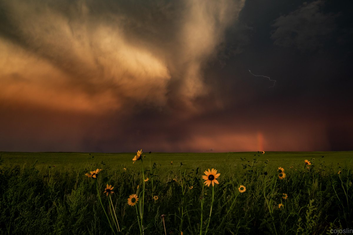 gorgeous_pix's tweet photo. Caught a lightning bolt and rainbow at the same time in eastern Colorado. From u/spiider_bro on /r/earthporn #lightningbolt #easterncolorado #time #rainbow #caught #earthporn https://t.co/6iuqqDQ59K