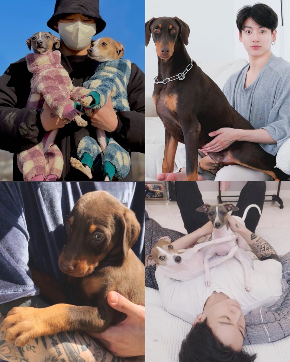 97JKHAIR's tweet photo. jungkook and his babies https://t.co/yr4satUltB