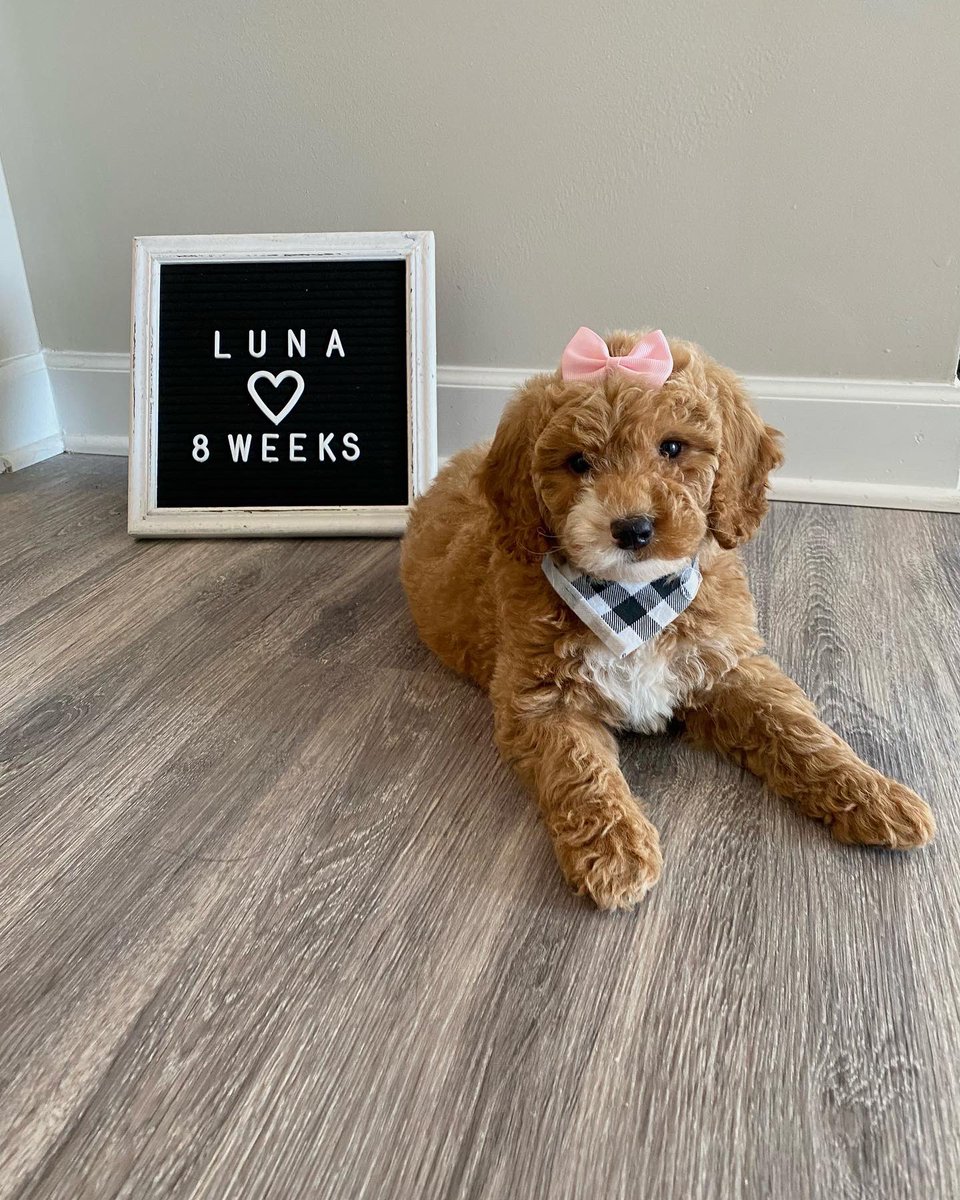 _tayloracton's tweet photo. I’m a mommy now 💕 https://t.co/8huVFN9SuX