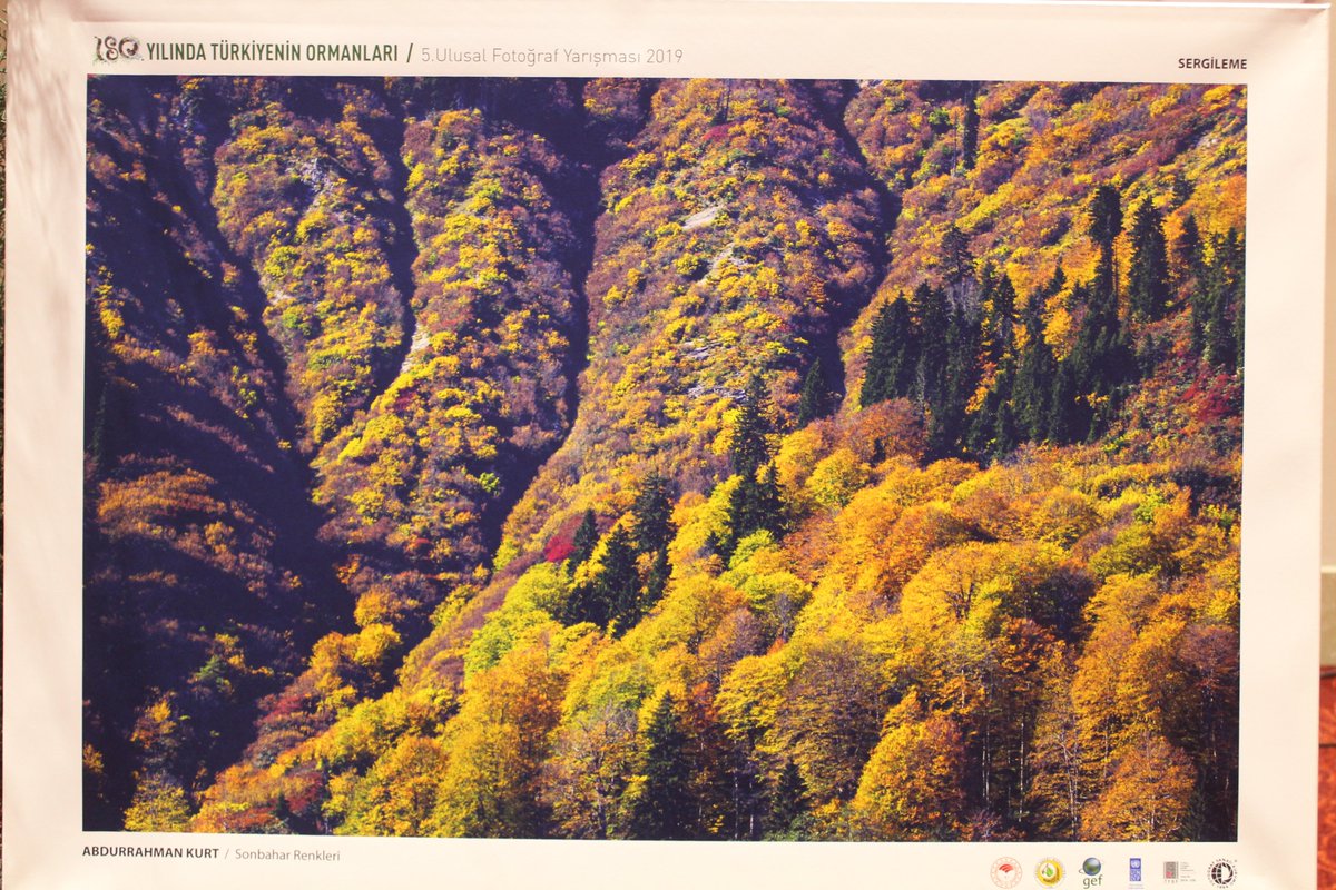 lrmouawad's tweet photo. Marvelous photographs of Turkey 🇹🇷 at #medforestweek 
@FCNMedNE #IntlForestDay #medforestweek2022 https://t.co/lPtPZHize9