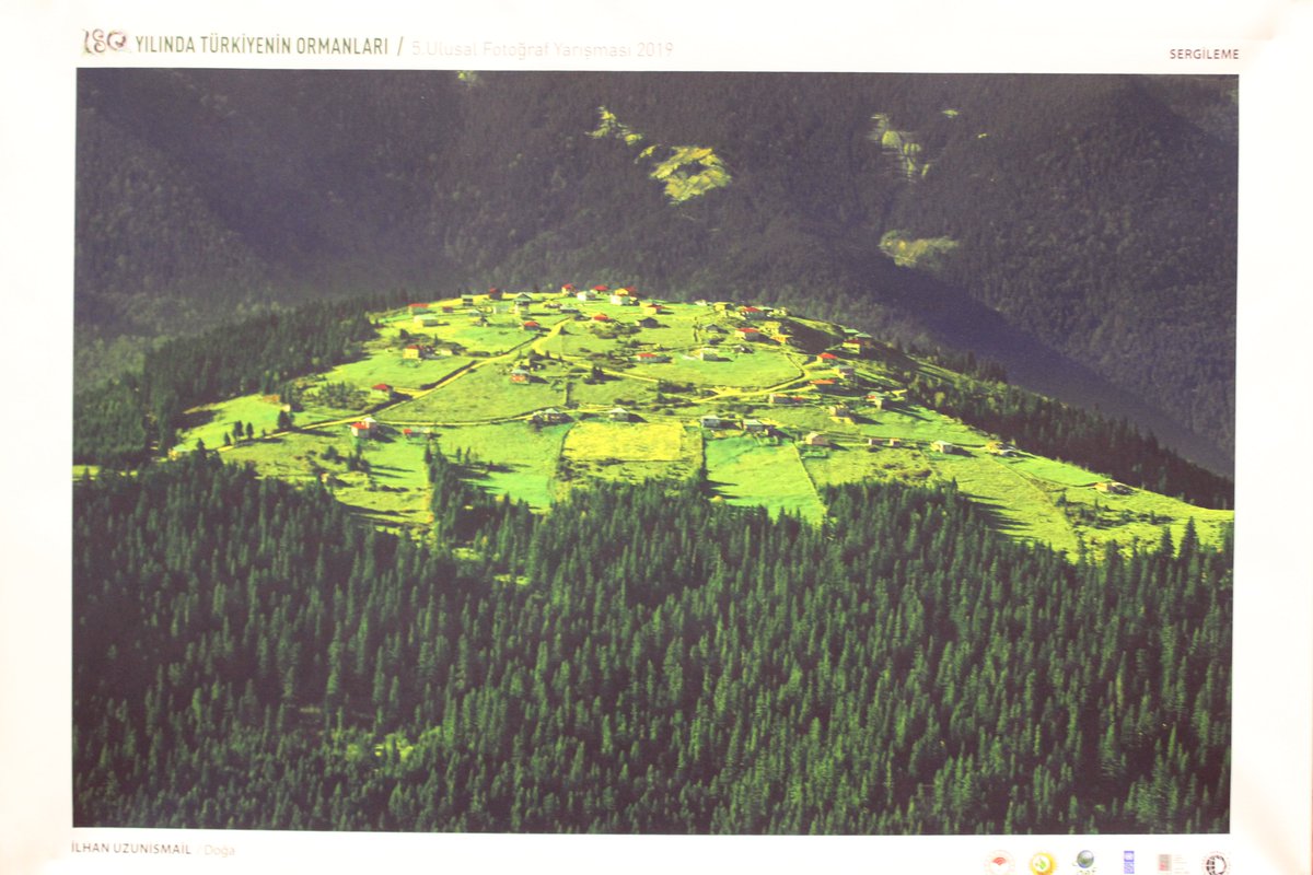 lrmouawad's tweet photo. Marvelous photographs of Turkey 🇹🇷 at #medforestweek 
@FCNMedNE #IntlForestDay #medforestweek2022 https://t.co/lPtPZHize9
