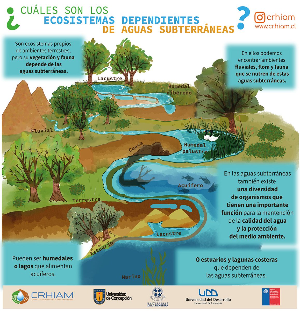 Humedales, ríos, lagunas y muchos otros ecosistemas dependen de las aguas subterráneas para su funcionamiento. Además, estas aguas son claves para la adaptación al cambio climático 💧🌿

#DíaMundialdelAgua
#DíadelAguaCRHIAM
#AguasSubterráneas