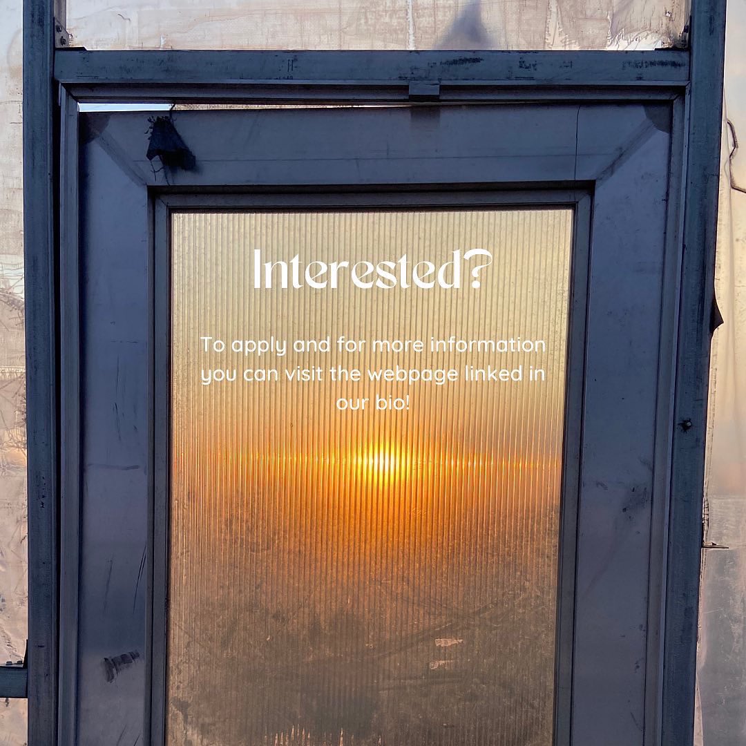 gvsusap's tweet photo. Are you looking for internship hours? Summer SAP internship applications are open and all majors/experience levels are welcome! Enjoy flexible scheduling while pursuing an internship that suits your areas of interest! Apply today 🤝🌱 https://t.co/zyqvy6iEqh https://t.co/eLRkgiB3UM