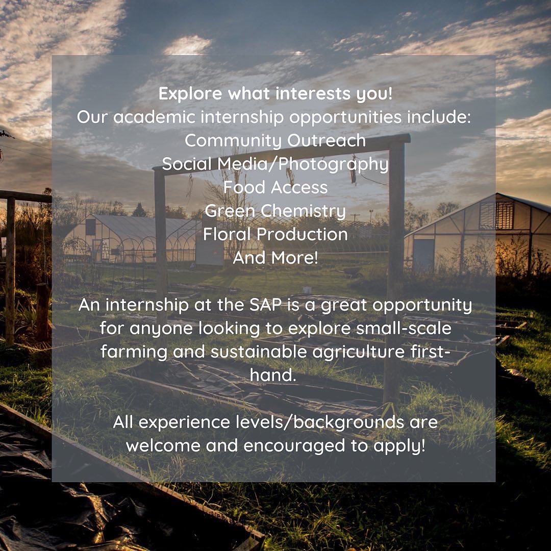 gvsusap's tweet photo. Are you looking for internship hours? Summer SAP internship applications are open and all majors/experience levels are welcome! Enjoy flexible scheduling while pursuing an internship that suits your areas of interest! Apply today 🤝🌱 https://t.co/zyqvy6iEqh https://t.co/eLRkgiB3UM