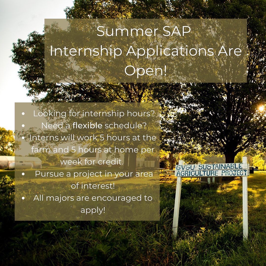 gvsusap's tweet photo. Are you looking for internship hours? Summer SAP internship applications are open and all majors/experience levels are welcome! Enjoy flexible scheduling while pursuing an internship that suits your areas of interest! Apply today 🤝🌱 https://t.co/zyqvy6iEqh https://t.co/eLRkgiB3UM