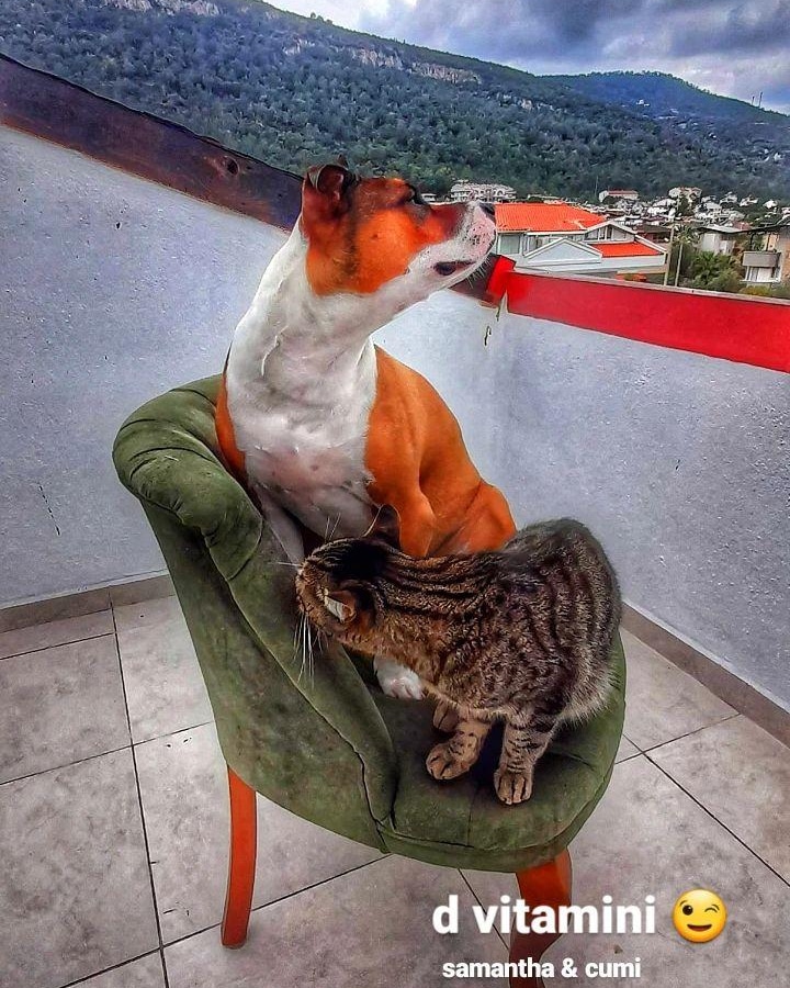 takendisimelon (@takendisimelon) on Twitter photo 