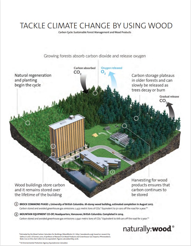 In honour of International Forest Day, here's a fun diagram explaining the benefit's of using wood in construction to help grow our Canadian Forest.
