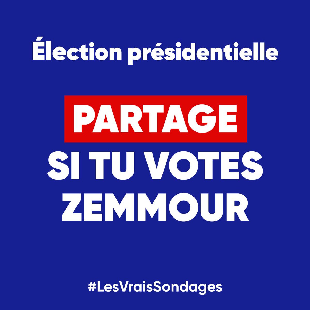 n_zemmour's tweet photo. Montrons-leur que la RECONQUÊTE est inexorable !

#LesVraisSondages #ZemmourReconquete https://t.co/9QJHHRSI23
