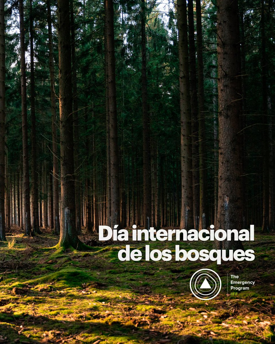 emerprogram's tweet photo. Hoy celebramos el Día Internacional de los Bosques.
Desde #TEP queremos recordar que el bosque es algo más que un decorado, es el paisaje sobre el cual se desarrollan los #IIFF. Comprender el papel del fuego y del incendio dentro de los ecosistemas, es fundamental.
#tepknowledge https://t.co/ZQ9R5DECdp