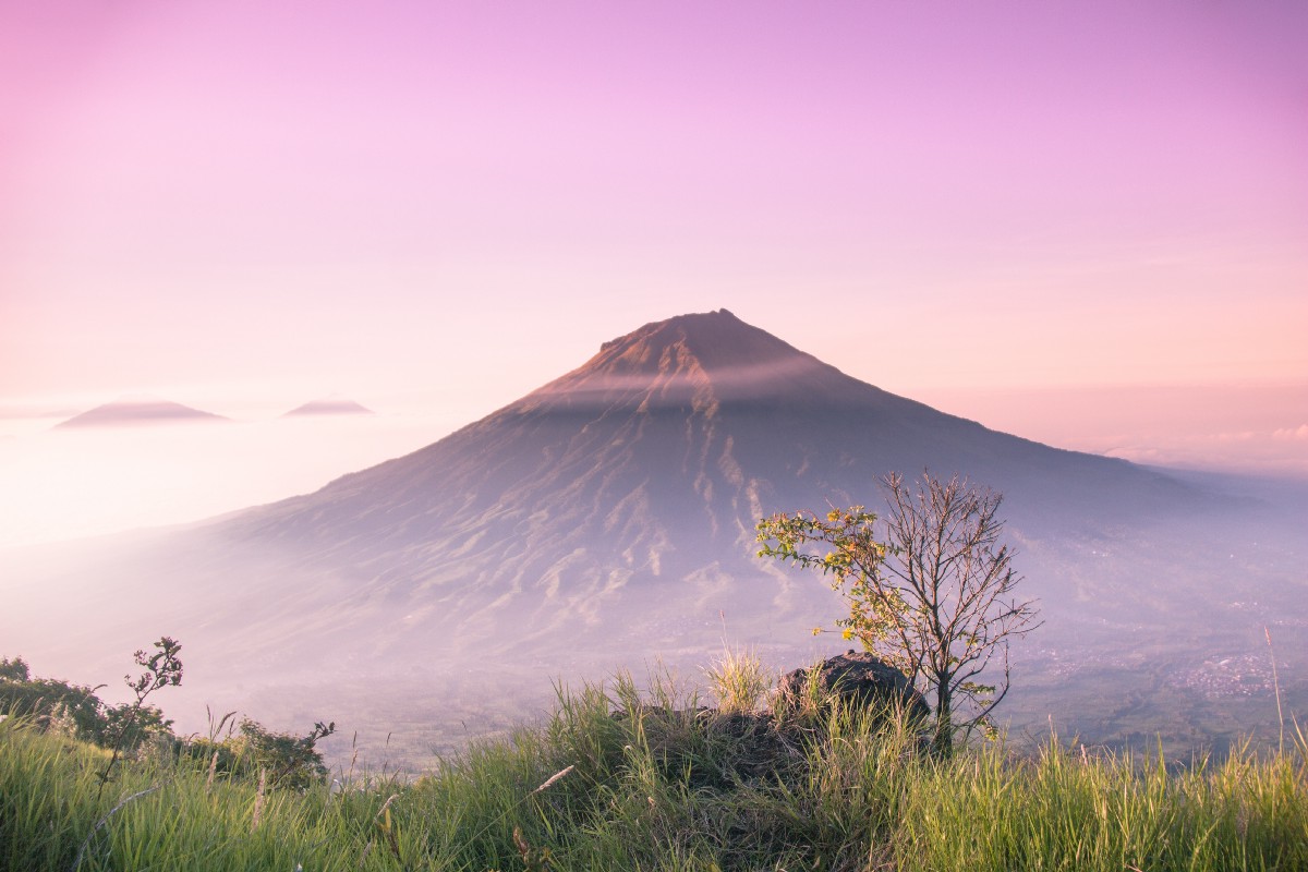 Crypto Slot Indonesia tweet media
