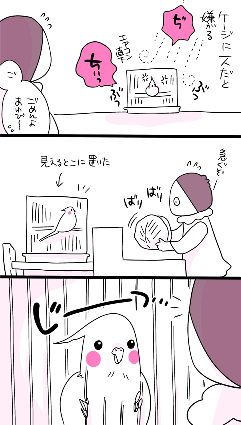 あわびちゃんページ ୨୧ あわびちゃんはケージに入っててもこんな感じで可愛い可愛い