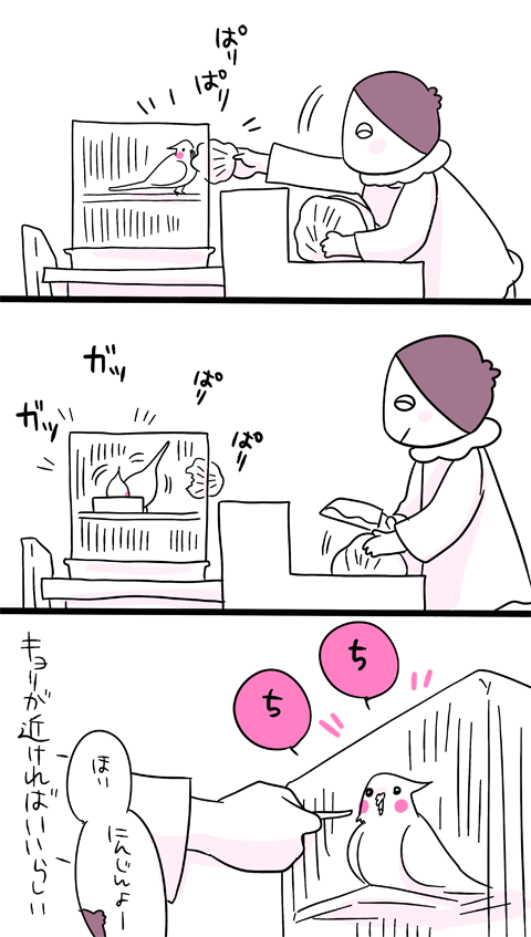 あわびちゃんはケージに入っててもこんな感じで可愛い可愛い