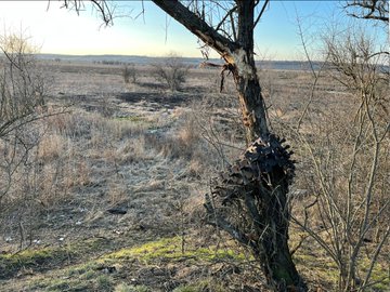 DGfdujf's tweet photo. #Ukraine: After claimed Ukrainian Air Force strikes in #Mykolaiv Oblast, Russian armour was obliterated, so much so that only a main gun, engine block, and some track remained. 

Can you guess what this was from? https://t.co/MBeKaVPbG0