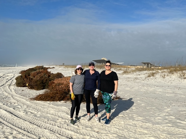 ICYMI - Kaiser Vacation Rentals participated in recent community outreach, the Gulf State Park Dunes Restoration Project. 
🌲  
Local residents donate their Christmas trees for dune restoration to improve the vital Gulf dunes ecosystem.
#KaiserVacationRentals #DuneRestoration