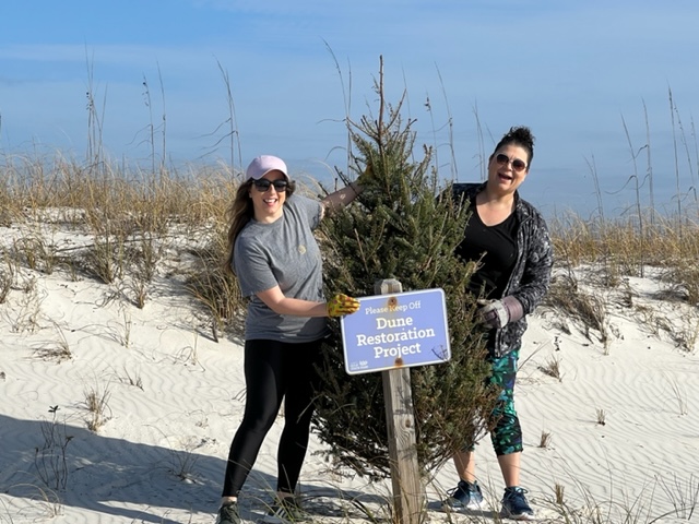 KaiserVacations's tweet photo. ICYMI - Kaiser Vacation Rentals participated in recent community outreach, the Gulf State Park Dunes Restoration Project. 
🌲  
Local residents donate their Christmas trees for dune restoration to improve the vital Gulf dunes ecosystem.
#KaiserVacationRentals #DuneRestoration https://t.co/ziMBCt366a
