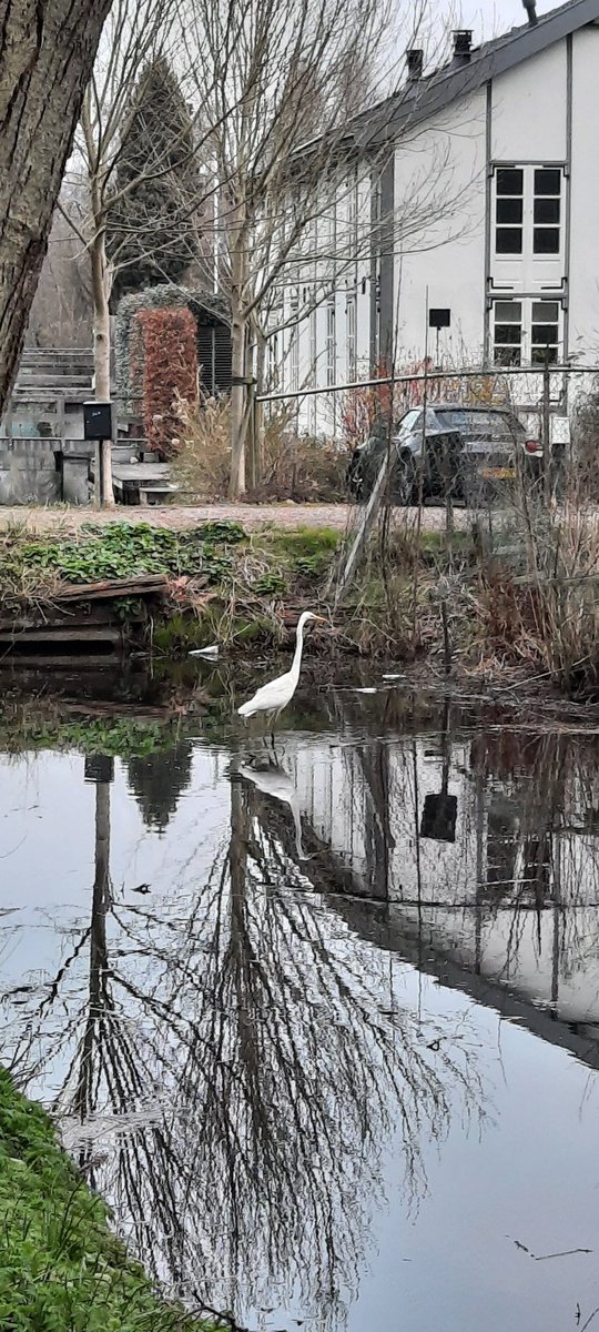 GuillaumeWim tweet media