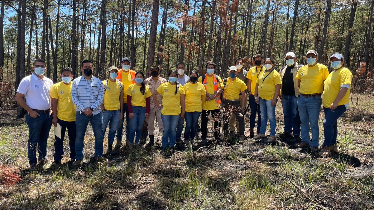 FAOHonduras's tweet photo. FAO Honduras a través del proyecto Conecta+ y en coordinación con @ICFHonduras y @MIAMBIENTE_HN , capacita a 17 técnicos que pertenecen al #COIIF de Intibucá en el uso de #TICs para el monitoreo de Incendios Forestales y la plataforma #SmartFire. 
#NoALosIncendios https://t.co/AiESZF8Z4N