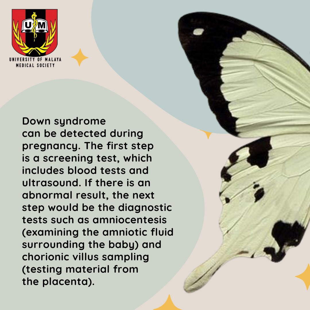 UMedsoc's tweet photo. Today is World Down Syndrome Day! Check out our post to learn more about it today! 🦋💗 https://t.co/GFDkxkEjle