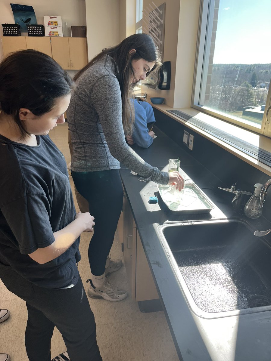 MsKerriganNRHS's tweet photo. Trying out the marine oil spill cleanup lab today in #nrhsapes. How well do various absorbers, skimmers, booms, and dispersants work? https://t.co/dBwrtSGk1N