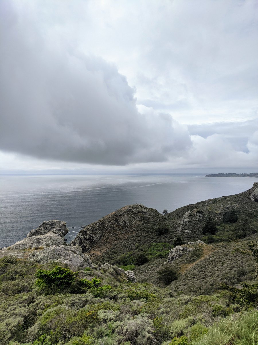 Visual respite for challenging times.