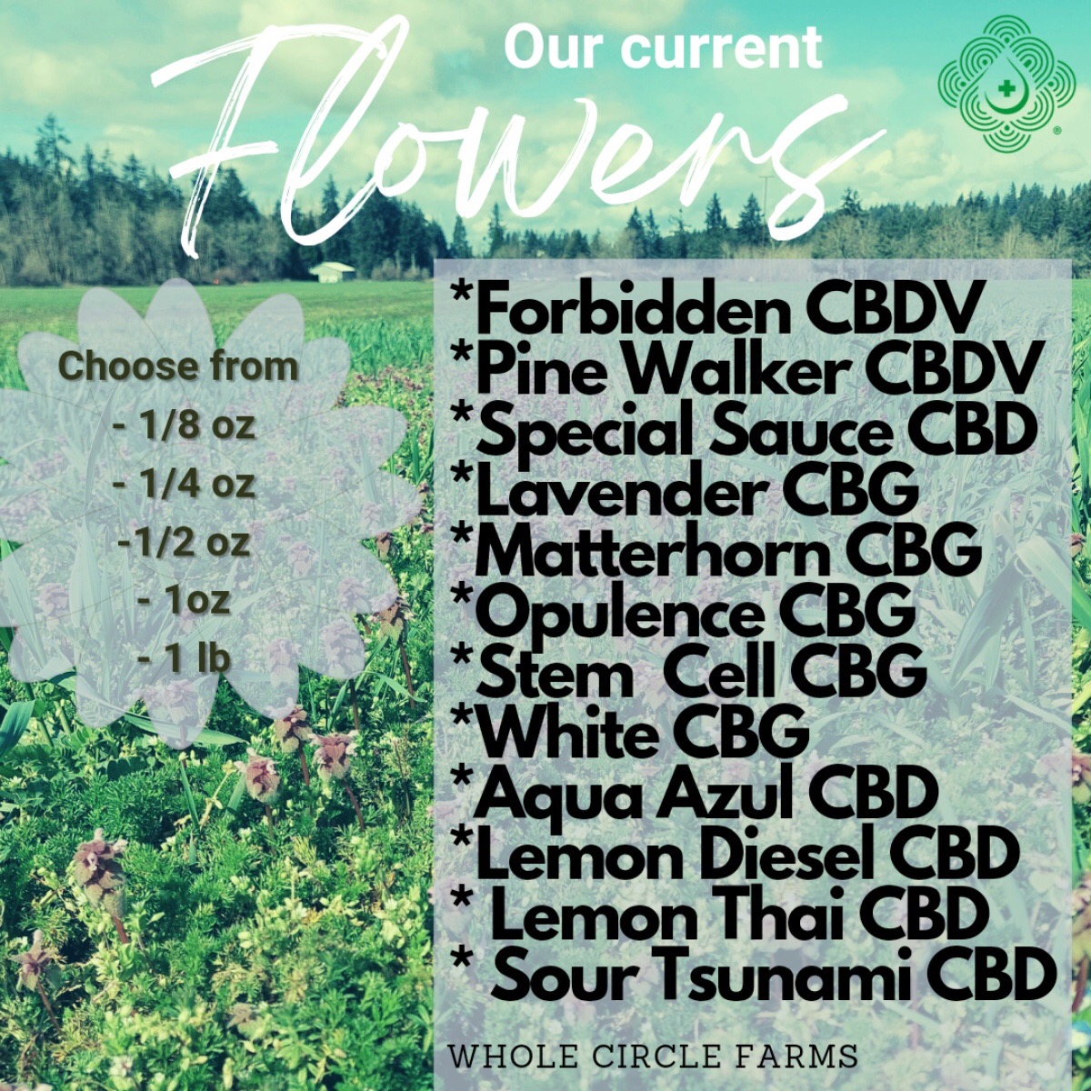 WholeCircleFarm's tweet photo. We have quite a large flower selection, with even more to choose from in our pre-rolls.
#oregonhempfarmers #usdaorganic #hempproducts #certifiedorganichemp #hempfarmers #hemp #cbdfarm https://t.co/hgv2Tb2aOb