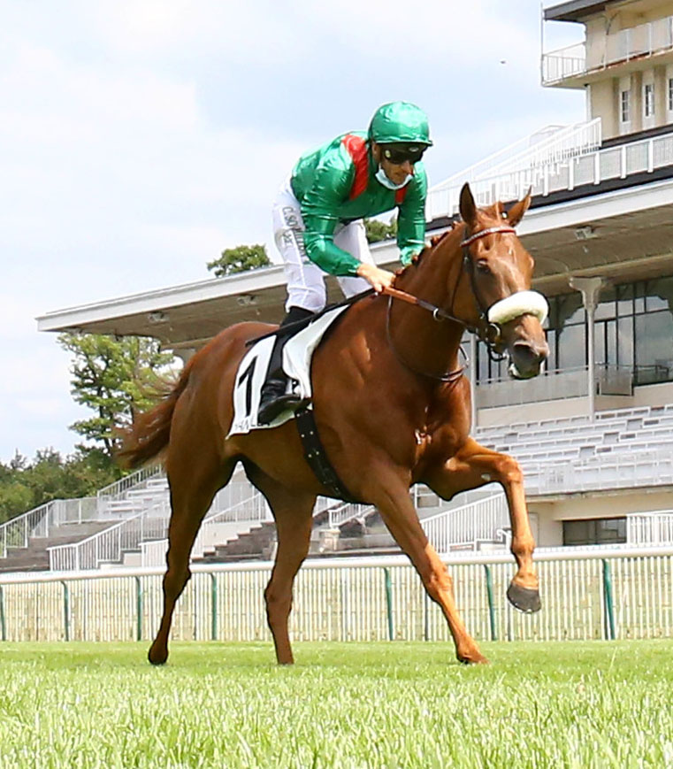 AgaKhanStuds's tweet photo. Ebiyza is also the dam of dual Gr.2 winner & Gr.1 Grand Prix de Saint-Cloud runner-up #Ebaiyra (📸 left), who stays in training with @GraffardRacing.
Another daughter, Listed winner #Edisa, recently produced a lovely filly by #SeaTheStars (📸 right) and will visit #Siyouni. 6/8 https://t.co/7cVCKImm8Z