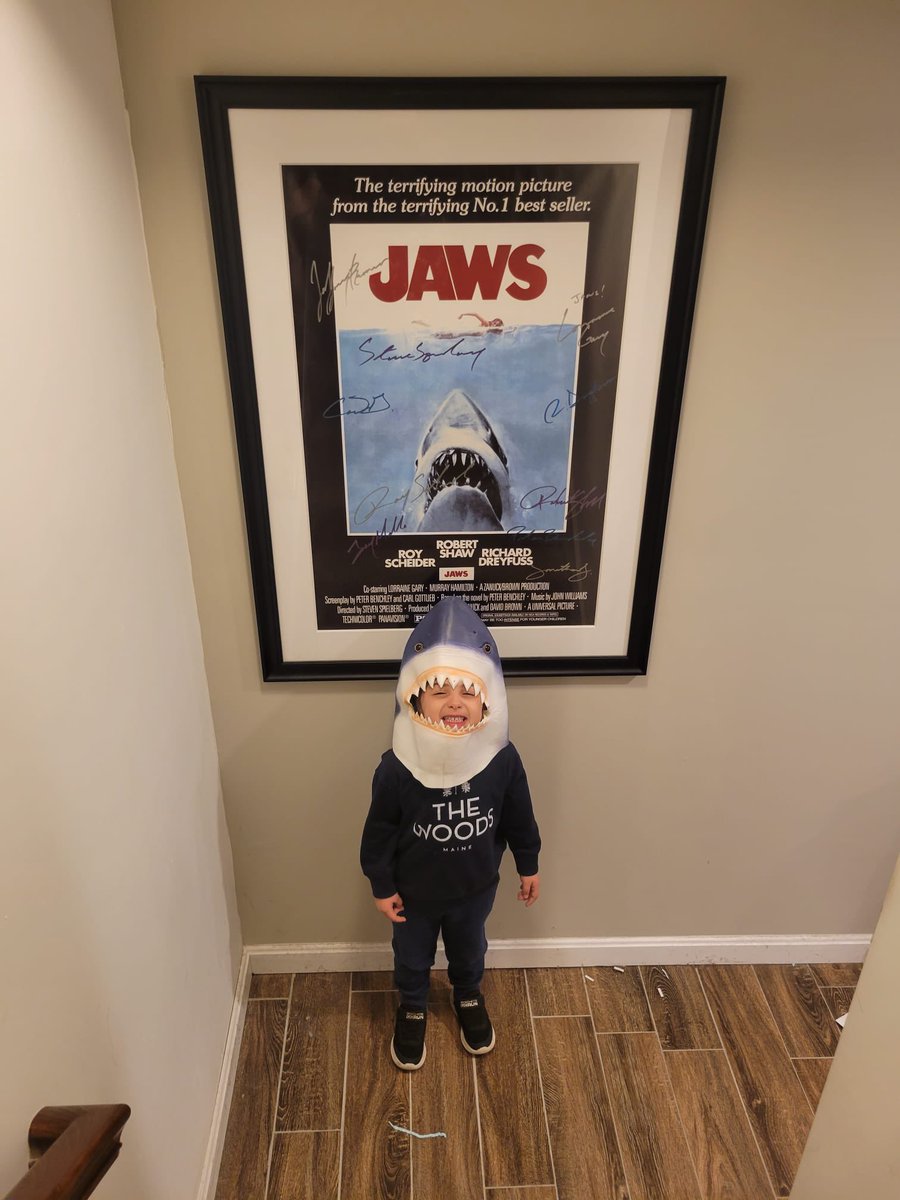 thespicyshark's tweet photo. Our Baby Shark was ready to tackle Monday this morning!
#mondaymood #mondayvibes #mondaymorning #jaws #jawsfan https://t.co/QLiSplK4FW