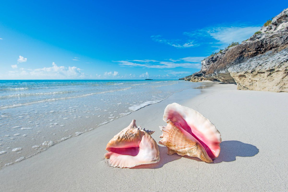 There are so many beautiful beaches on Providenciales waiting to be discovered. 

visittci.com/providenciales…