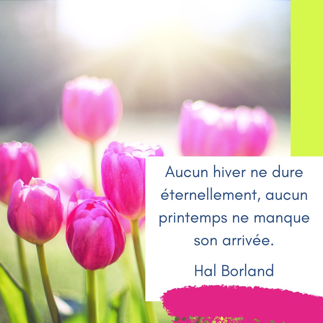 Formationcoach Twitter Search Twitter