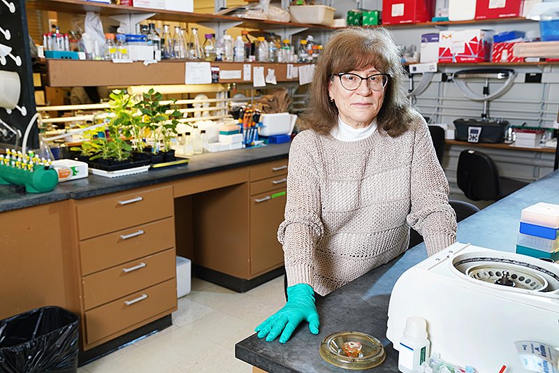PurdueAg's tweet photo. That cherry flavor you enjoy in candy and soda is likely a combination of aromatic and flavor compounds discovered through study of plants. @PurdueBioChem @PurdueCPB Natalia Dudareva's lab's research has discovered a coveted molecular recipe: https://t.co/yR7tjmd1vE https://t.co/erkvPG85lu