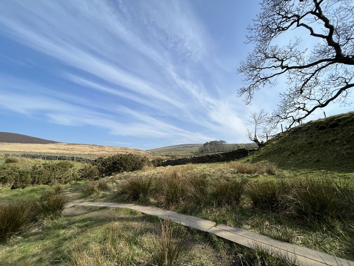 Five mile meander today, through the woods and around the reservoir☀️🐾
#Scorton 
#Lancashire