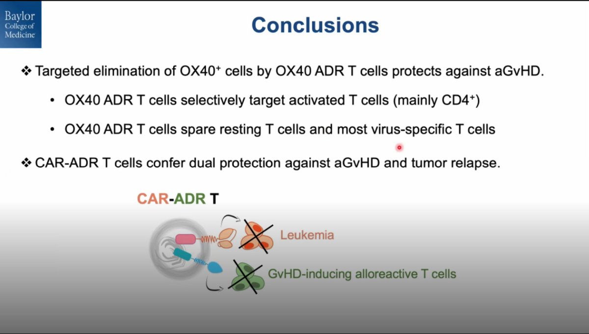 ALL_Hub_'s tweet photo. Congress| #EBMT2022| @feiyan_mo, @bcmhouston discusses targeted ablation of activated donor CD4+ T-cells with engineered T-cells attenuating acute GvHD while preserving protective CD8+ T-cell immunity and showed feasibility for a bi-functional CAR-ADR T-cell product #ALLsm #leusm https://t.co/a8DXYvL5YH