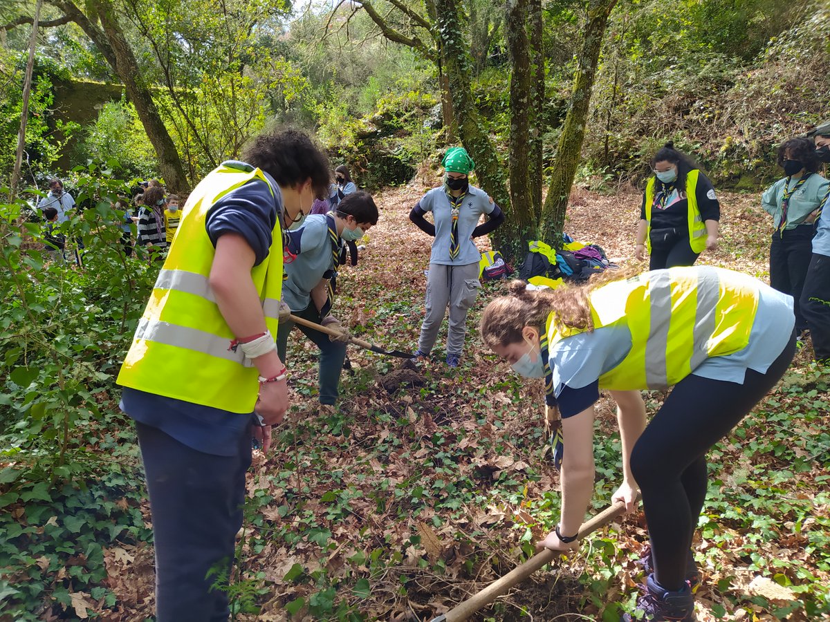 scoutilex's tweet photo. Unha acción que forma parte do noso proxecto de Voz Natura e para o que contamos coa colaboración de @AmigosdaTerra, na que tivemos ocasión de visitar tamén as ruinas do Mosteiro de Naves. A/O scout ama e coida a Natureza @AmigosTierraEsp #SonScout #SoyScout #PlanScout https://t.co/hDaFaohtgf