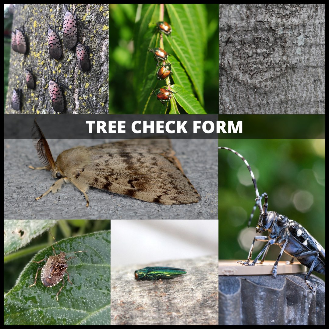 Invasive Species Ctr tweet media