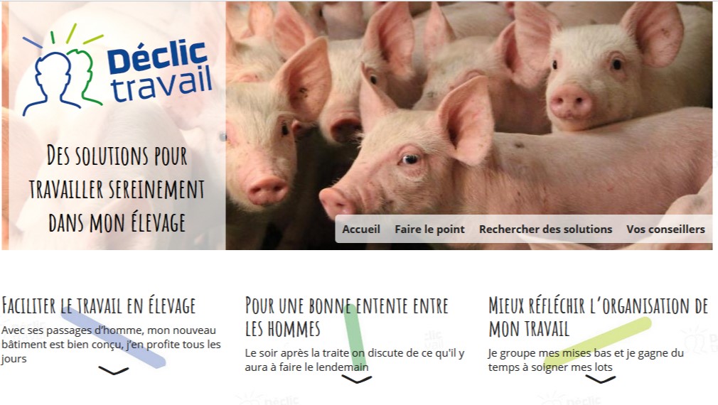 Pour améliorer les conditions de #travail en #élevage,  consultez declictravail.fr Les🐷🐤🐰 viennent de rejoindre les 🐮 sur le site. + de 100 fiches solutions sont disponibles. <a href="/ChambagriBzh/">ChambreAgriBretagne</a> <a href="/ChambagriPdL/">Chambres agri PdL</a> <a href="/GillesSaget/">Gilles SAGET</a>