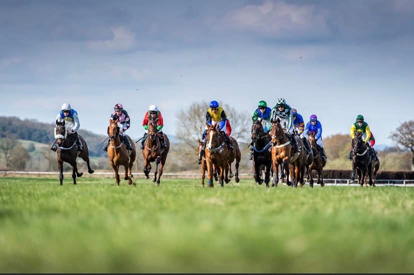 AFTER RACING GALLOPING AND SCHOOLING AT MAISEMORE
MONDAY 28th MARCH 
‼️REVISED START TIME OF 9am‼️
£35 per horse.  Please DM us for more details.