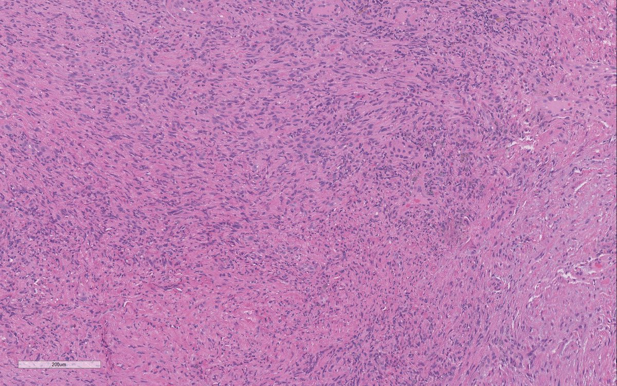 Ilan Weinreb 🇮🇱🇨🇦 אילן וינרב tweet media