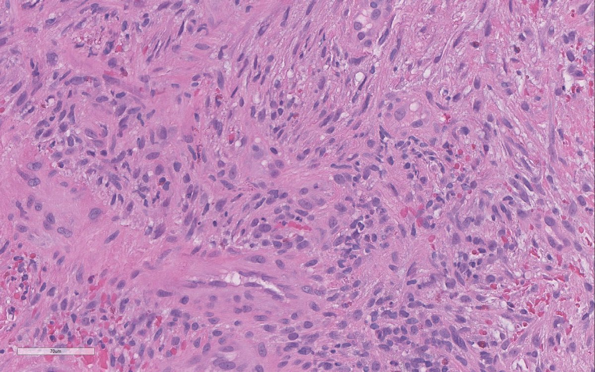 Ilan Weinreb 🇮🇱🇨🇦 אילן וינרב tweet media