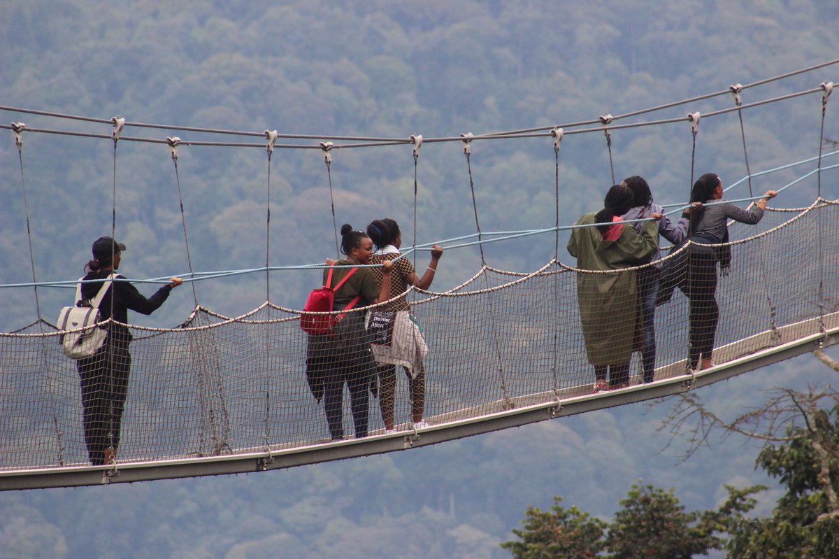 nziza_safaris's tweet photo. Have you ever had experience at canopy walk hey come book here nzizaadventures@gmail.com  #travel #travellover #adventuretime #adventure #adventurelover #nyungwenationalpark #canopywork https://t.co/PulurDwUoH