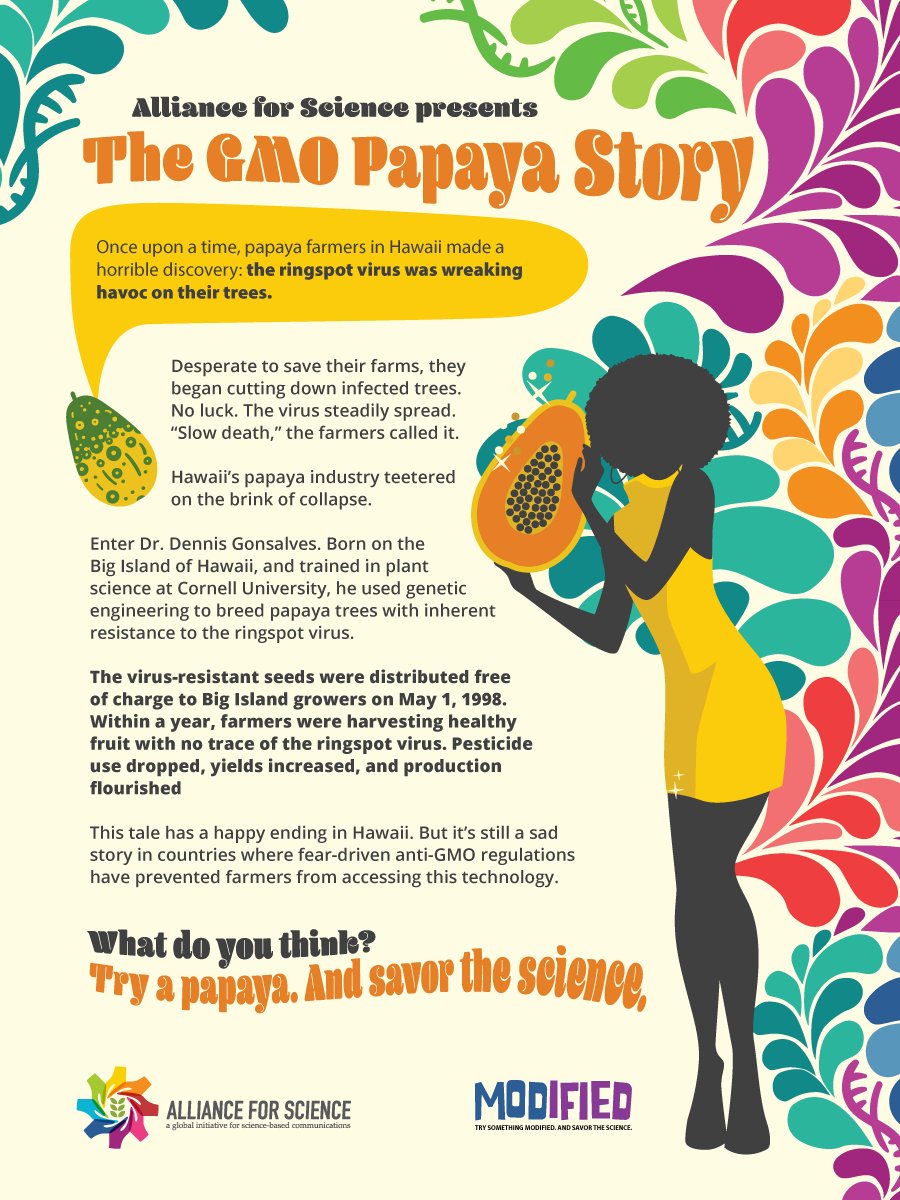The virus resistant papaya story is one of our favorite stories on #GMOs 

Visit us at Lot 22 for free samples of GMO papaya, apples and pink pineapple #AgDay22 #EatingIsBelieving #AgOnTheMall