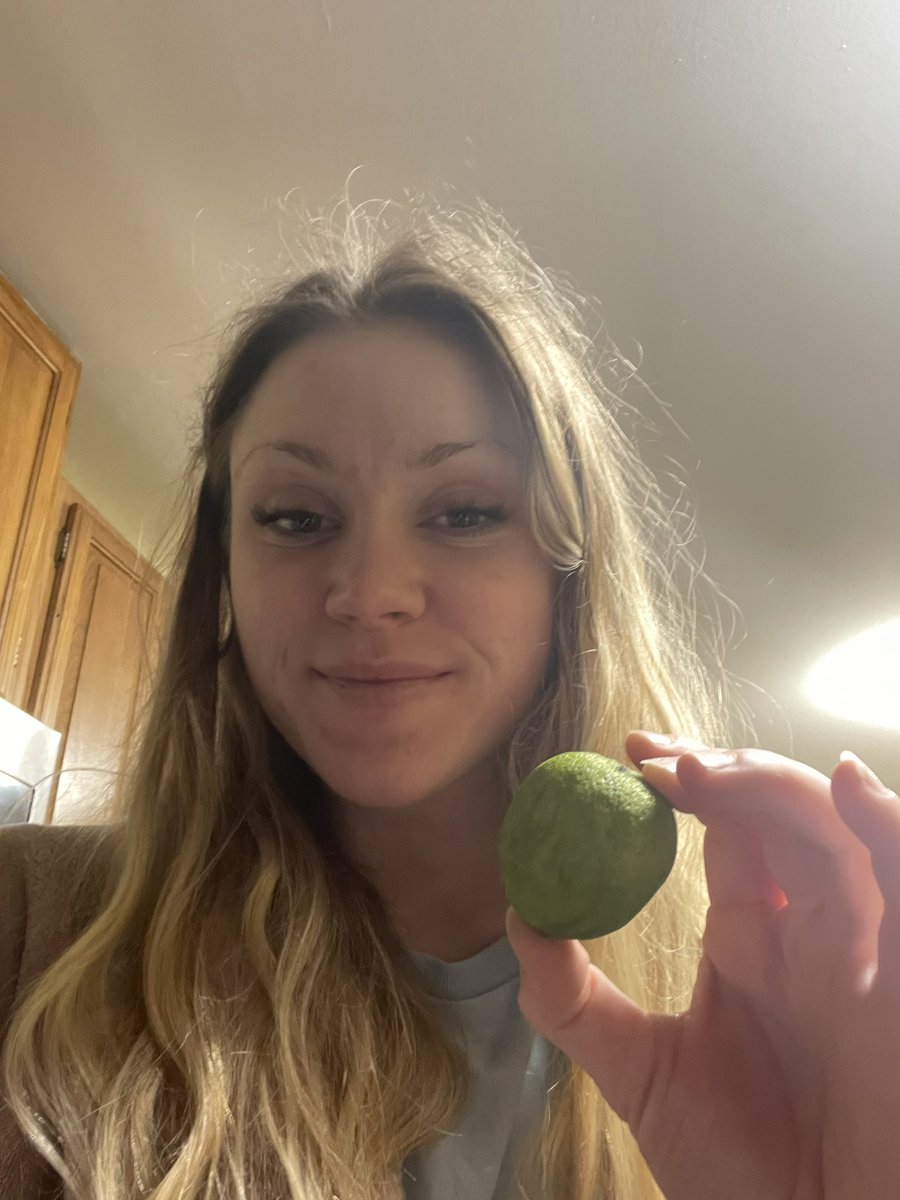 ryanwagner260's tweet photo. #plant200week9 #plant200call #drfoxcall The latin name for a lime is Citrus aurantiifolia. These fruits reproduce sexually, meaning that male flowers from the same citrus tree or another nearby must pollinate the female flowers in order to produce the lime. https://t.co/VIQ4Z058wX