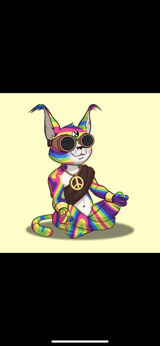 iamjackedcrypto's tweet photo. @NFTQuin @TheKarmaCats has the most unique roadmap and giveaways I have ever seen not to mention the art work is 🔥🔥🔥 https://t.co/N2BjXKzhPq